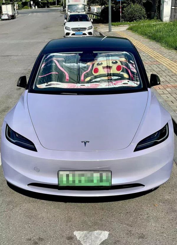 【海外代購】千鳥社 寶可夢 皮卡丘可愛二次元汽車遮陽隔熱膜 