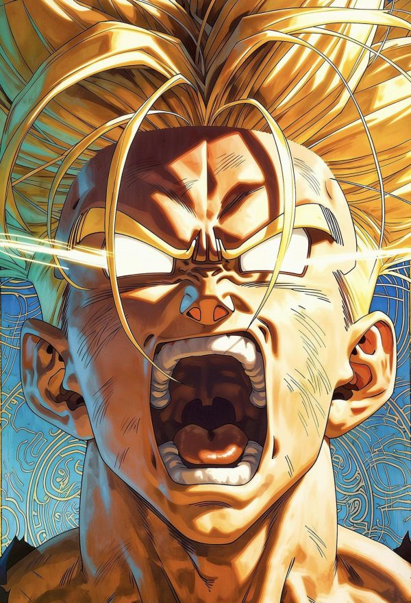 【海外代購】H2 《超賽特南克斯》七龍珠悟空貝吉塔超級賽亞人動漫裝飾畫 