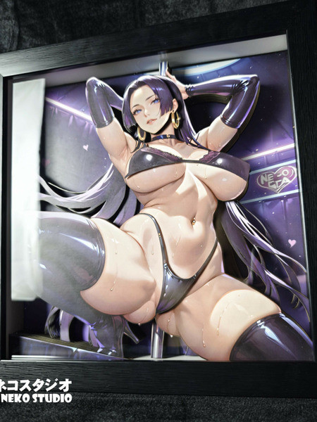 【海外代購】泥棒貓 女帝 蛇姬 波雅漢考克 航海王可脫立體裝飾畫 