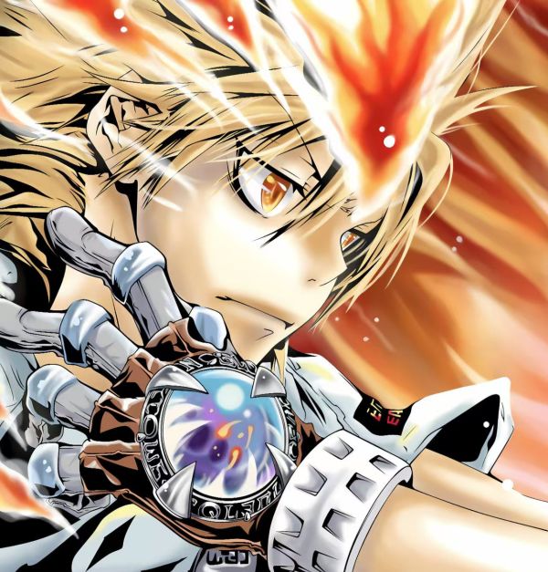 【海外代購】h2《家庭教師》澤田綱吉HITMAN REBORN!阿綱裝飾畫 