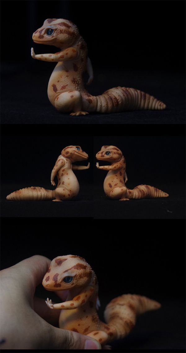 【預定】COR 原創動物系列 龍傲天 肥尾守宮 