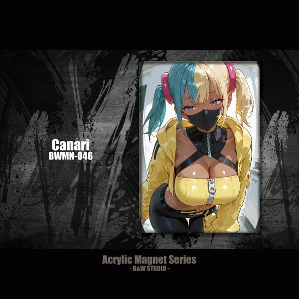 【海外代購】黑白畫映 B&W Studio Canari卡娜莉亞克力冰箱貼 BWMN-046 