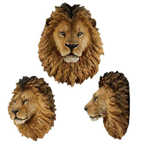 【預定】動物星雲 世界動物大圖鑑第2彈 