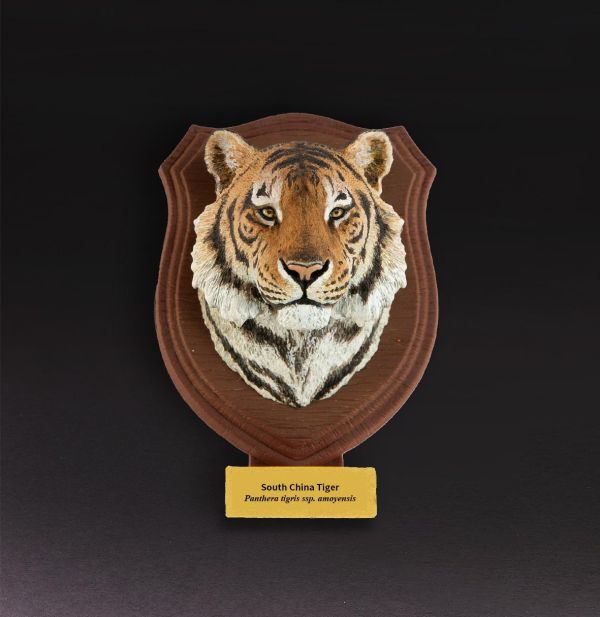 【預定】動物星雲 世界動物大圖鑑第2彈 