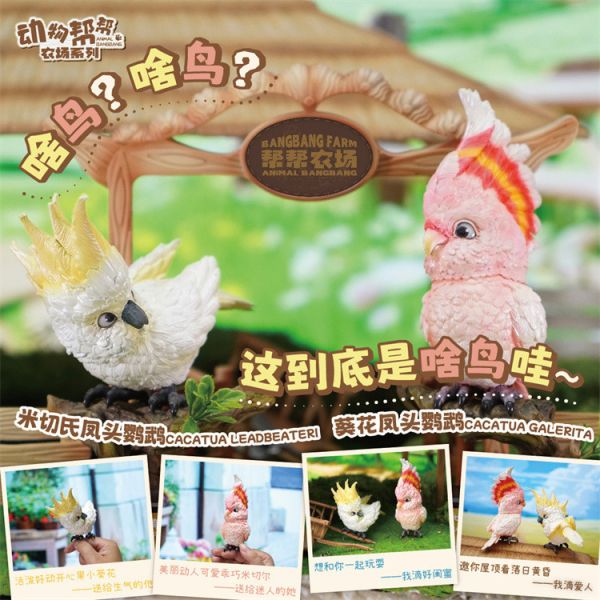 【海外代購】傑刻動漫 動物幫幫農場 啥鳥小葵花 米切爾鸚鵡 