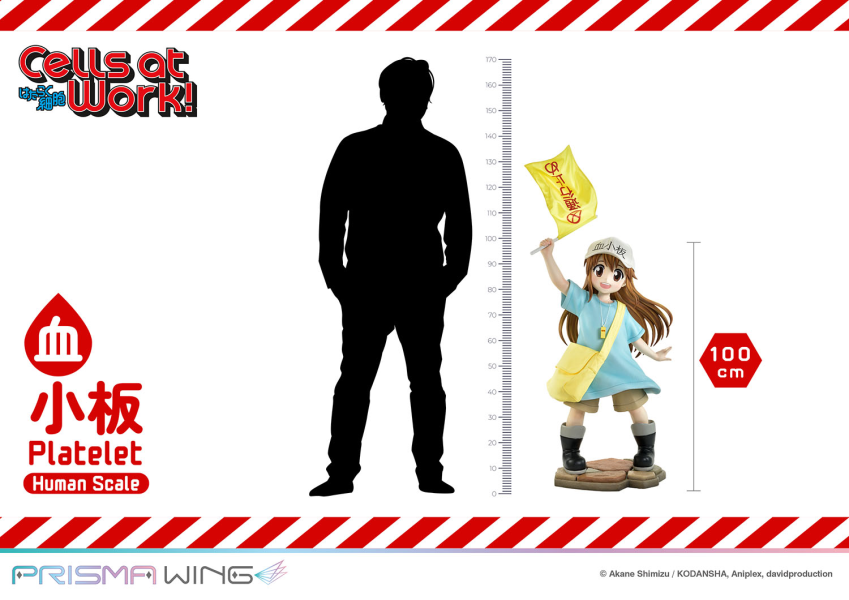 【預定】Prime 1 P1S 100cm 工作細胞 血小板 LSHSB-01 