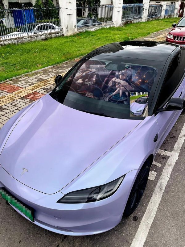 【海外代購】千鳥社《汽車前擋遮陽-爻光和忘歸人》 