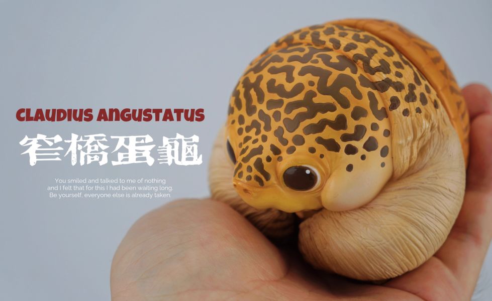 【預定】博物誌原廠 2025噸噸動物園龜6彈 