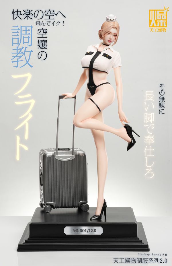 【預定】天工燥物 2.0系列 《空服員2.0》 