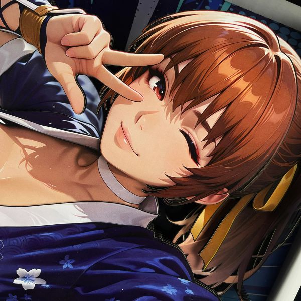 【海外代購】黑白畫映 B&W DoA Kasumi 霞 立體裝飾畫 