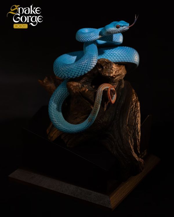 【海外代購】snakeGorae 海島竹葉青蛇 岡氏竹葉青蛇 