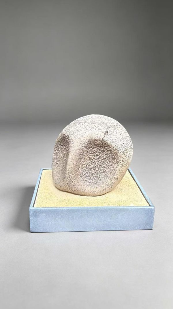 【預定】miumiu 夢幻 皮卡化石博物館系列 第一彈 
