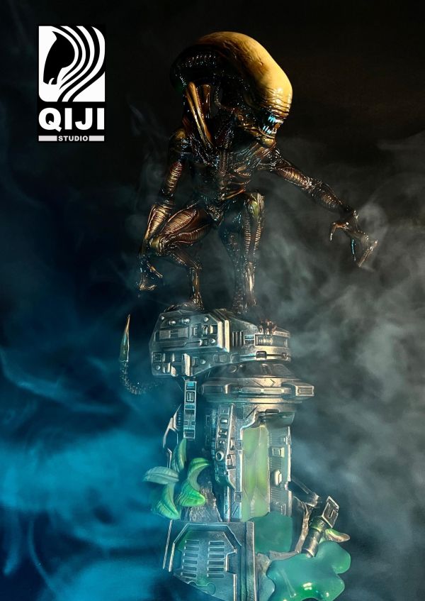 【預定】QiJi 異形 