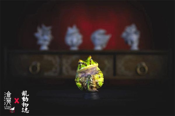 【預定】滄溟 角蛙與蝌蚪 