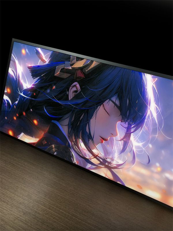 【海外代購】萌萌匠 雷電將軍 導燈 裝飾畫 二次元 