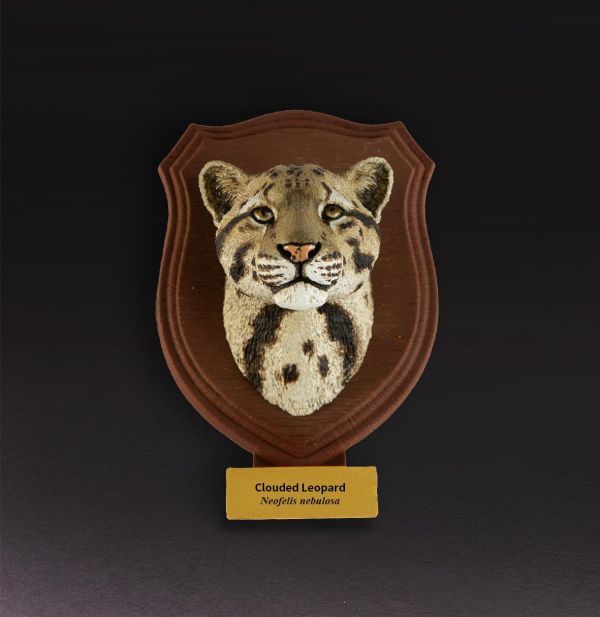 【預定】動物星雲 世界動物大圖鑑第2彈 