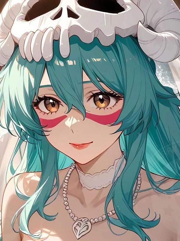 【海外代購】星空 《花嫁妮露》裝飾畫 死神 