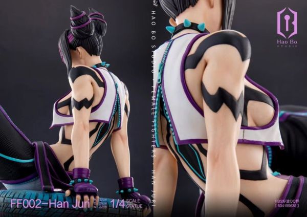 【已截單/代購洽客服】HBS好波工作室1/4雕像女格鬥家系列 FF002-Han Juri 