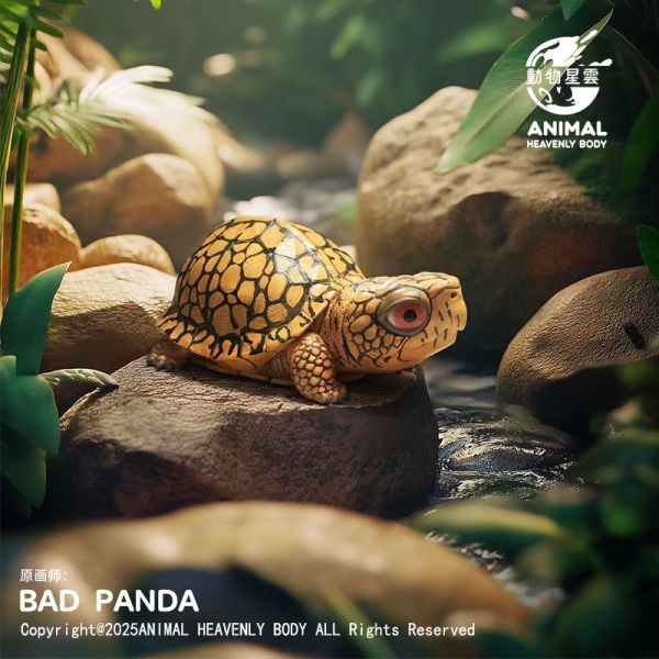 【海外代購】動物星雲 BADPANDA Let‘s 爬體系列第三彈 東部箱龜 