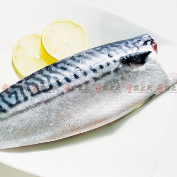 挪威薄鹽鯖魚片 挪威,薄鹽,鯖魚,定食,家常