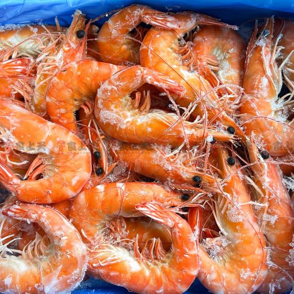 鮮凍熟白蝦(3/4) 蝦,白蝦,冷盤,宴客,痛風,聚餐