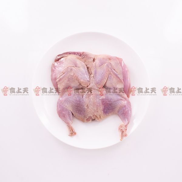 鹽醃班甲/香檳鳥 鵪鶉,班甲,春雞,野味,香檳鳥,斑甲,烤肉,中秋,原住民餐,