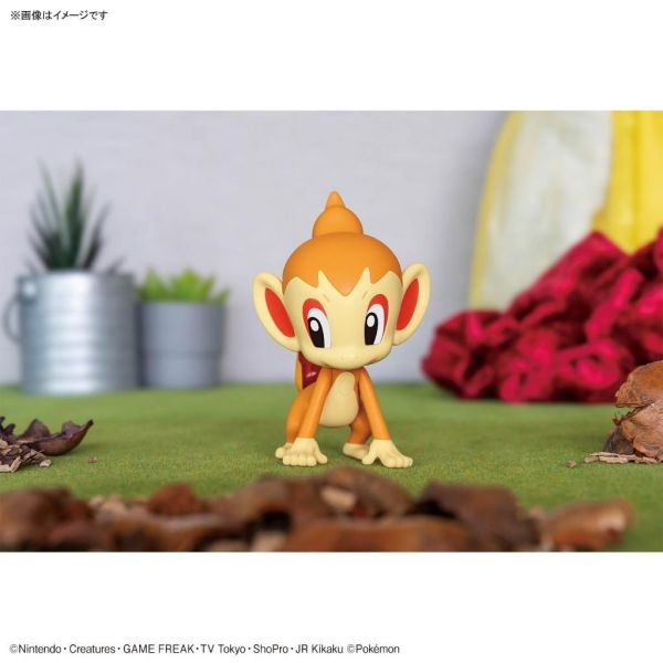 【鋼普拉】現貨 BANDAI Pokémon PLAMO 收藏集 29 小火焰猴 神奇寶貝 精靈寶可夢 口袋怪獸 【鋼普拉】現貨 BANDAI Pokémon PLAMO 收藏集 29 小火焰猴 神奇寶貝 精靈寶可夢 口袋怪獸
