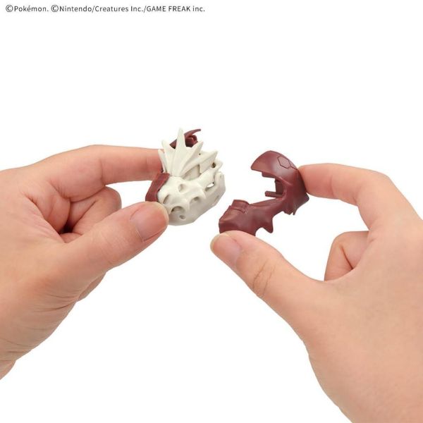 【鋼普拉】現貨 新系列 BANDAI Pokémon PLAMO 收藏集 暴君龍 化石寶可夢 怪顎龍 口袋怪獸 神奇寶貝 【鋼普拉】現貨 新系列 BANDAI Pokémon PLAMO 收藏集 暴君龍 化石寶可夢 怪顎龍 口袋怪獸 神奇寶貝