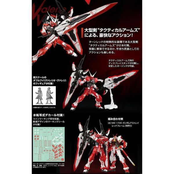 【鋼普拉】現貨 限量2盒套組 BANDAI 鋼彈SEED MG 1/100 逆紅異端鋼彈 紅異端鋼彈 + 藍異端鋼彈D型 