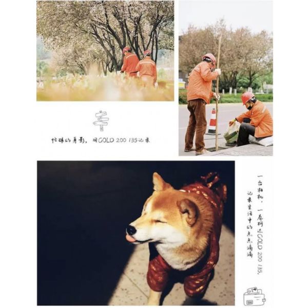 【eYe攝影】現貨 柯達 Kodak Ultra Max 400 GOLD 200 彩色負片 35mm 軟片 底片 膠卷 【eYe攝影】現貨 柯達 Kodak GOLD 彩色負片 36張 400 135 軟片 底片 膠卷