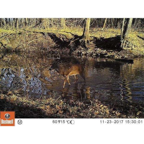 【eYe攝影】美國 Bushnell 博士能 Trail Camera 狩獵相機 野生動物偵測 打獵 錄影 119932 【eYe攝影】美國 Bushnell 博士能 Trail Camera 狩獵相機 野生動物偵測 打獵 錄影 119932