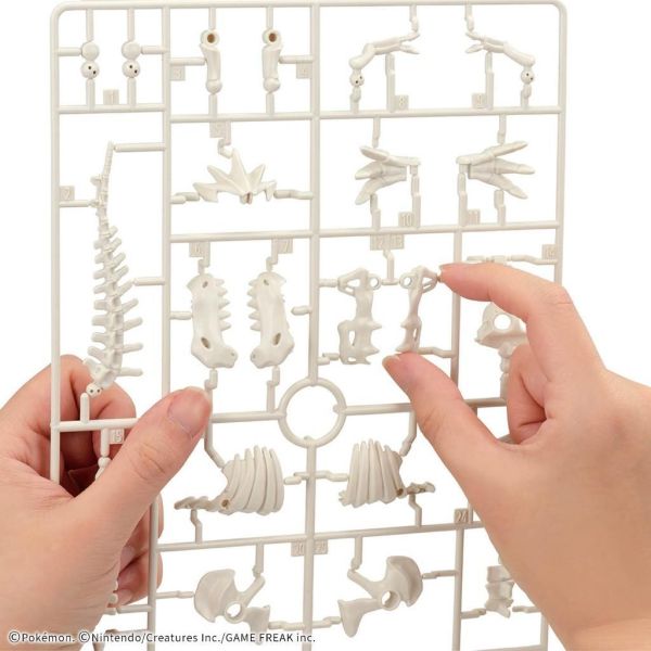 【鋼普拉】現貨 新系列 BANDAI Pokémon PLAMO 收藏集 暴君龍 化石寶可夢 怪顎龍 口袋怪獸 神奇寶貝 【鋼普拉】現貨 新系列 BANDAI Pokémon PLAMO 收藏集 暴君龍 化石寶可夢 怪顎龍 口袋怪獸 神奇寶貝