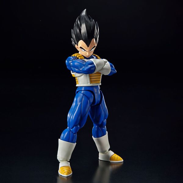 【鋼普拉】現貨 BANDAI Figure-rise Standard VEGETA [NEW SPEC Ver.] 七龍珠超 七龍珠Z 七龍珠GT 賽亞人 貝吉塔 / 達爾 超可動新規 【鋼普拉】BANDAI Figure-rise Standard VEGETA [NEW SPEC Ver.] 七龍珠超 七龍珠Z 七龍珠GT 賽亞人 貝吉塔 / 達爾 超可動新規