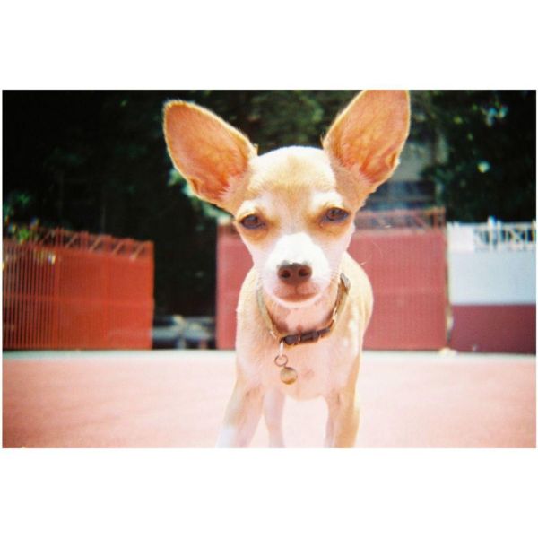 【eYe攝影】現貨 Lomography Konstruktor Flash DIY 35mm 單鏡反光相機 復古相機 【eYe攝影】現貨 Lomography Konstruktor Flash DIY 35mm 單鏡反光相機 復古相機