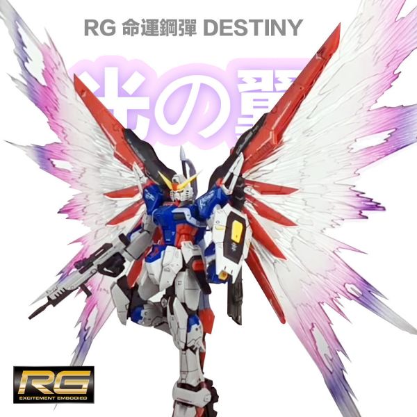 【鋼普拉】現貨 附支架 模星社 RG 1/144 #11 DESTINY 命運鋼彈 專用光翼 光翼特效件 光之翼 【鋼普拉】現貨 附支架 模星社 RG 1/144 #11 DESTINY 命運鋼彈 專用光翼 光翼特效件 光之翼