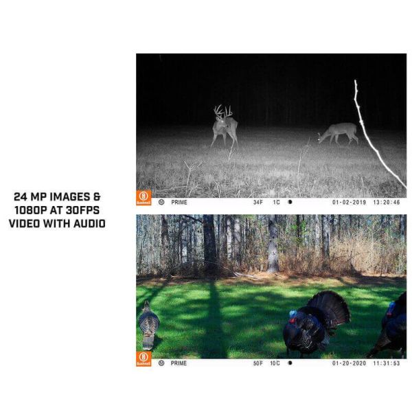 【eYe攝影】美國 Bushnell 博士能 Trail Camera 狩獵相機 野生動物偵測 打獵 錄影 119932 【eYe攝影】美國 Bushnell 博士能 Trail Camera 狩獵相機 野生動物偵測 打獵 錄影 119932