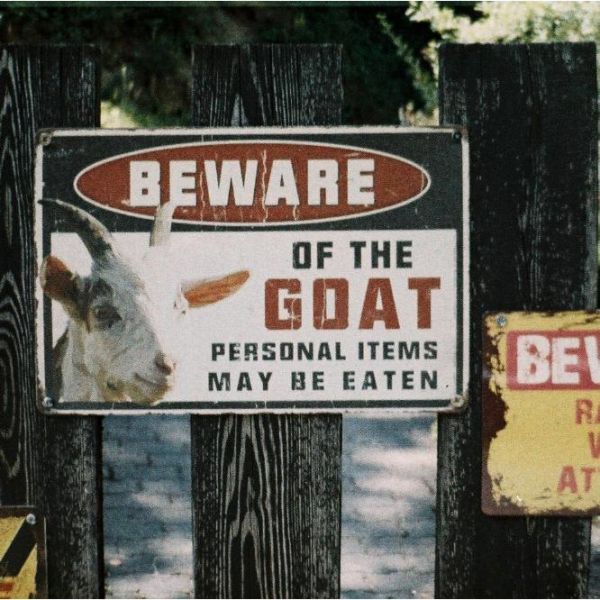 【eYe攝影】現貨 Lomography Color 92 Sun kissed ISO 400 110 彩色負片軟片 【eYe攝影】現貨 Lomography Color 92 Sun kissed ISO 400 110 彩色負片軟片