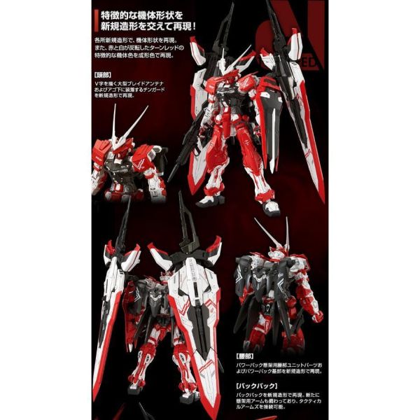【鋼普拉】現貨 限量2盒套組 BANDAI 鋼彈SEED MG 1/100 逆紅異端鋼彈 紅異端鋼彈 + 藍異端鋼彈D型 