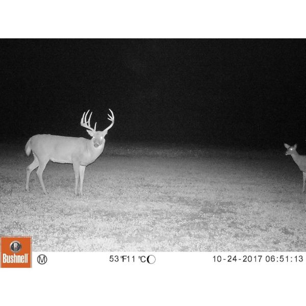 【eYe攝影】美國 Bushnell 博士能 Trail Camera 狩獵相機 野生動物偵測 打獵 錄影 119932 【eYe攝影】美國 Bushnell 博士能 Trail Camera 狩獵相機 野生動物偵測 打獵 錄影 119932