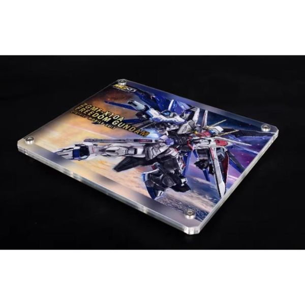 【鋼普拉】現貨 星創坊 MGSD HG RG 1/144 地台 SEED 自由 命運 展示台 底座+支架 可動支架 【鋼普拉】現貨 星創坊 MGSD HG RG 1/144 地台 SEED 自由 命運 展示台 底座+支架 可動支架