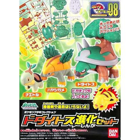 【鋼普拉】現貨 含皮卡丘 BANDAI POKEMON 神奇寶貝 精靈寶可夢 #08 草苗龜 樹林龜 土台龜 進化套組 【鋼普拉】現貨 含皮卡丘 BANDAI POKEMON 神奇寶貝 精靈寶可夢 #08 草苗龜 樹林龜 土台龜 進化套組