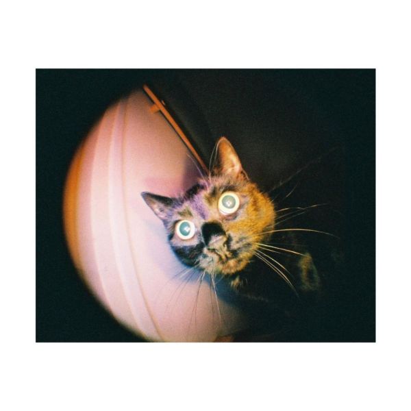 【eYe攝影】現貨 Lomography Fisheye Baby 110 魚眼 底片相機 傻瓜相機 復古相機 LOMO 【eYe攝影】現貨 Lomography Fisheye Baby 110 魚眼 底片相機 傻瓜相機 復古相機 LOMO