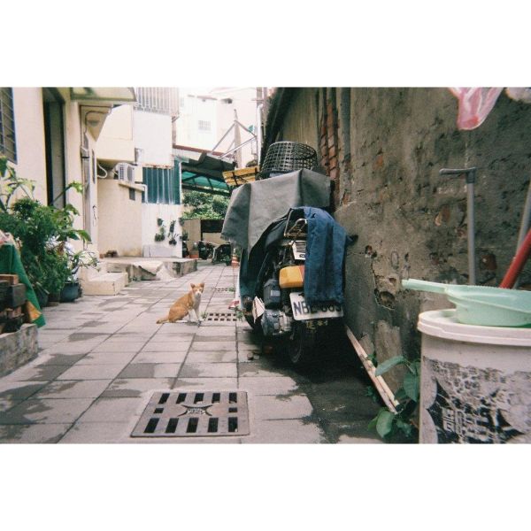 【eYe攝影】現貨 FUJIFILM 富士 拋棄式相機 傻瓜相機 即可拍 負片 ISO 400 旅行 街拍 內置閃光燈 【eYe攝影】現貨 FUJIFILM 富士 拋棄式相機 傻瓜相機 即可拍 負片 ISO 400 旅行 街拍 內置閃光燈