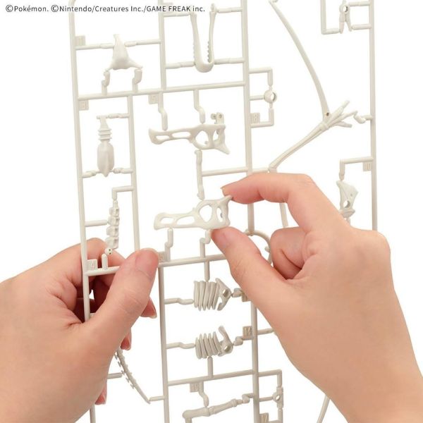 【鋼普拉】現貨 新系列 BANDAI Pokémon PLAMO 收藏集 化石翼龍 化石寶可夢 口袋怪獸 神奇寶貝 可動 【鋼普拉】現貨 新系列 BANDAI Pokémon PLAMO 收藏集 化石翼龍 化石寶可夢 口袋怪獸 神奇寶貝 可動