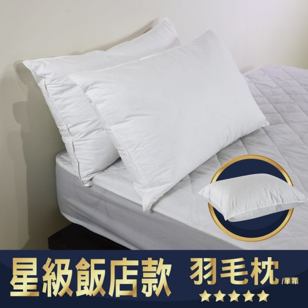 ★星級飯店款 天然羽毛枕/單顆 (附收納提袋) 羽毛枕.飯店寢具.寢具.枕頭