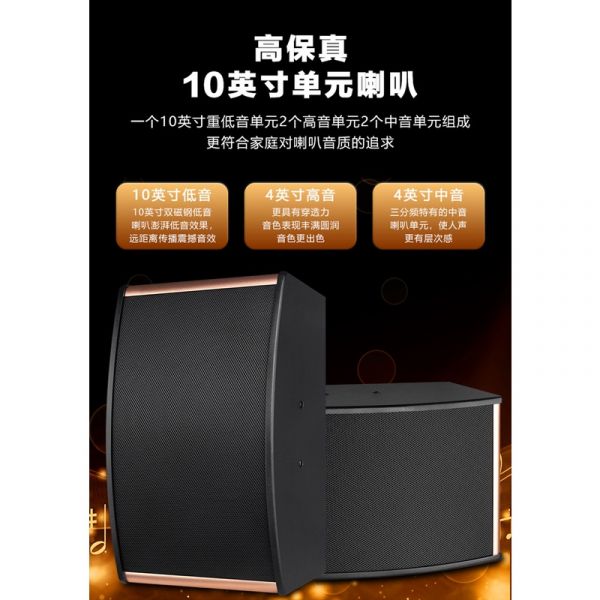 KTV家庭娛樂音響 10吋 家庭影院卡拉ok唱歌音響 舞台會議室音響 銅線式喇叭 音響 喇叭 家庭劇院 