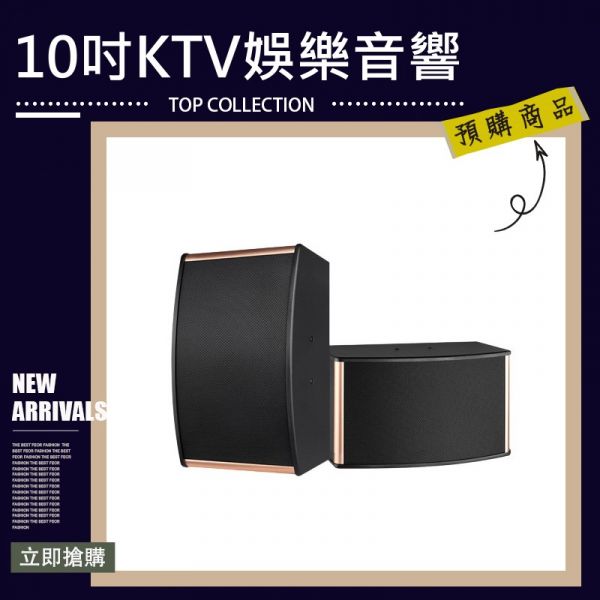 KTV家庭娛樂音響 10吋 家庭影院卡拉ok唱歌音響 舞台會議室音響 銅線式喇叭 音響 喇叭 家庭劇院 