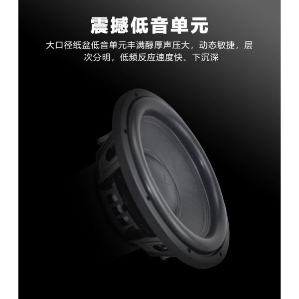 KTV家庭娛樂音響 10吋 家庭影院卡拉ok唱歌音響 舞台會議室音響 銅線式喇叭 音響 喇叭 家庭劇院 