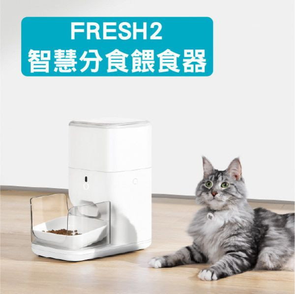 CATLINK SMART組合 FRESH2智慧分食餵食器+無線智慧飲水機 CATLINK台灣,自動餵食器,防潮,保鮮,多寵辨識,防搶食,防卡糧,進食數據追蹤,智慧餵食器,4L儲糧桶,出糧口黃金斜口設計、智慧, 自動, 飲水機, catlink, pure, 佩奇, 小佩