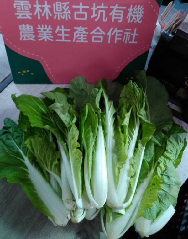 有機蚵白菜 250g 